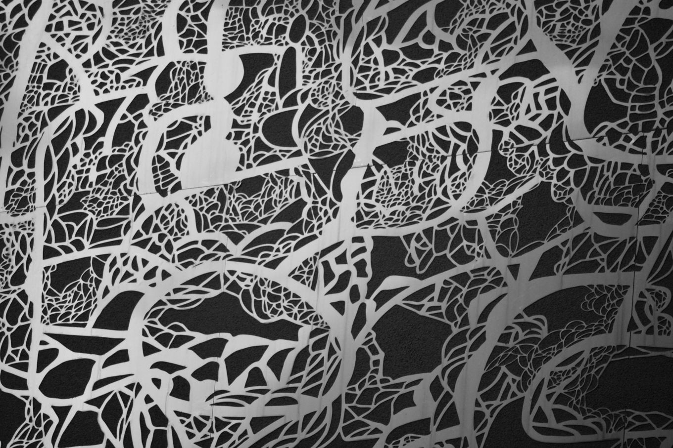 en svart-hvitt-tegning av en person med skjegg