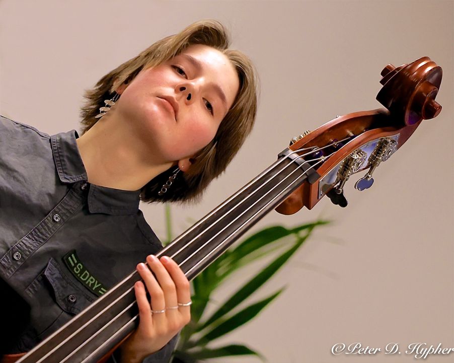 en person som holder en fiolin