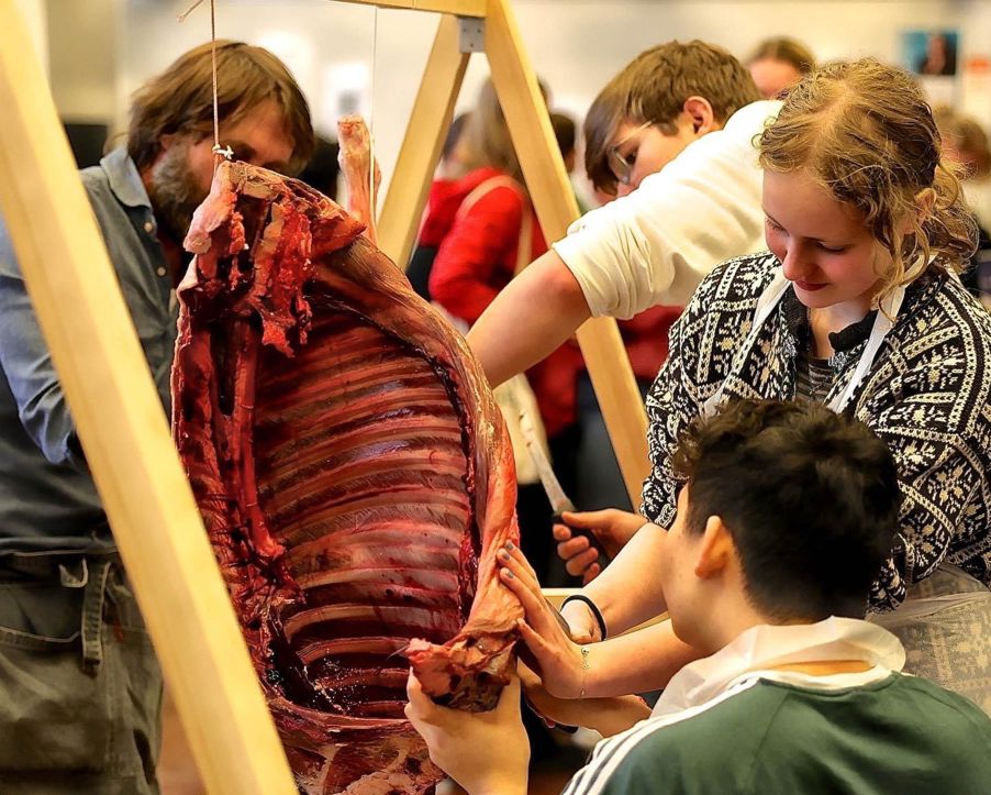 Foto: Peter D. Hypher. Elever partering av reinsdyr