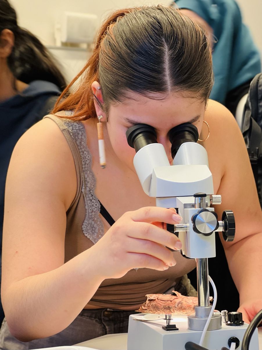 en person som bruker et mikroskop