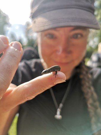 en person som holder et lite insekt